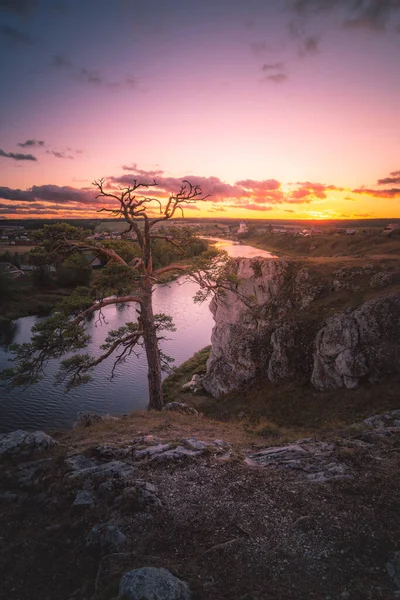 Старе Соснове Дерево Краю Скелі Річки Під Прекрасним Небом Заходу — стокове фото