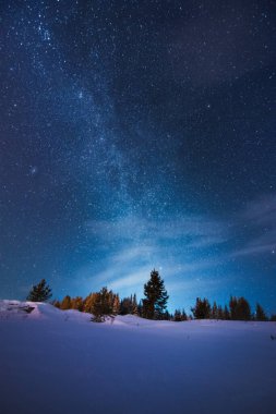 Winter forest under beautiful night sky with Milky Way and lot of stars