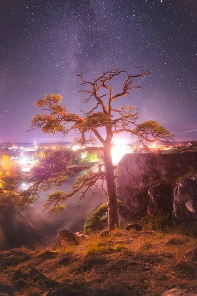 Old pine tree on the edge of a cliff and a glowing night city on the river bank under a beautiful night sky with a milky way — Stok fotoğraf