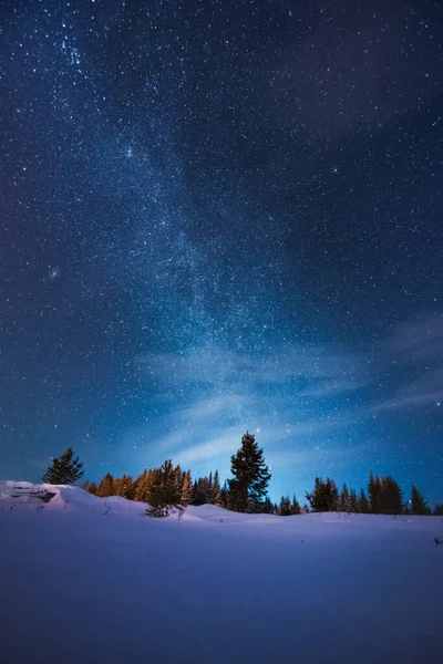 Winter forest under beautiful night sky with Milky Way and lot of stars — Stok fotoğraf