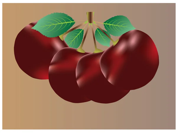 Ilustração vetorial de cerejas — Vetor de Stock