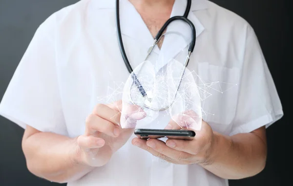 doctor holding a tablet with a stethoscope and lungs model on a white background