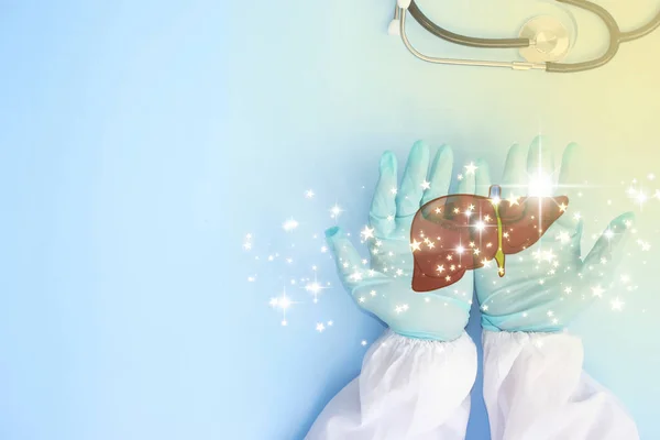 Doctor Holding Hands Organs Model Digital Concept — 스톡 사진