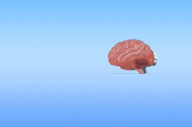 Mavi arka planda insan organı anatomisi