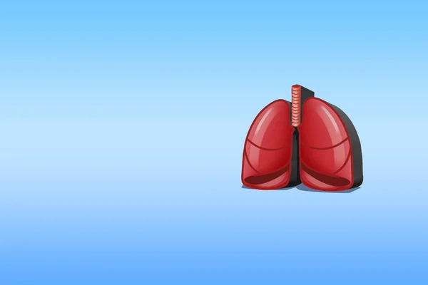 青い背景肺の臓器の解剖学 — ストック写真