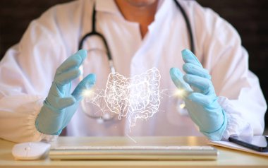 İnsan organı anatomisi kavramı