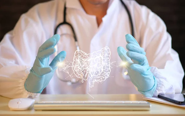 İnsan organı anatomisi kavramı