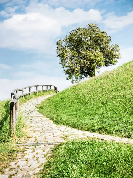 Sentiero pedonale — Foto Stock