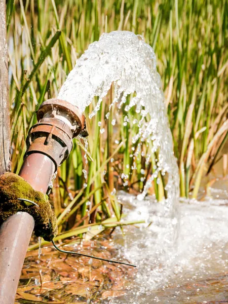 Water — Stock Photo, Image