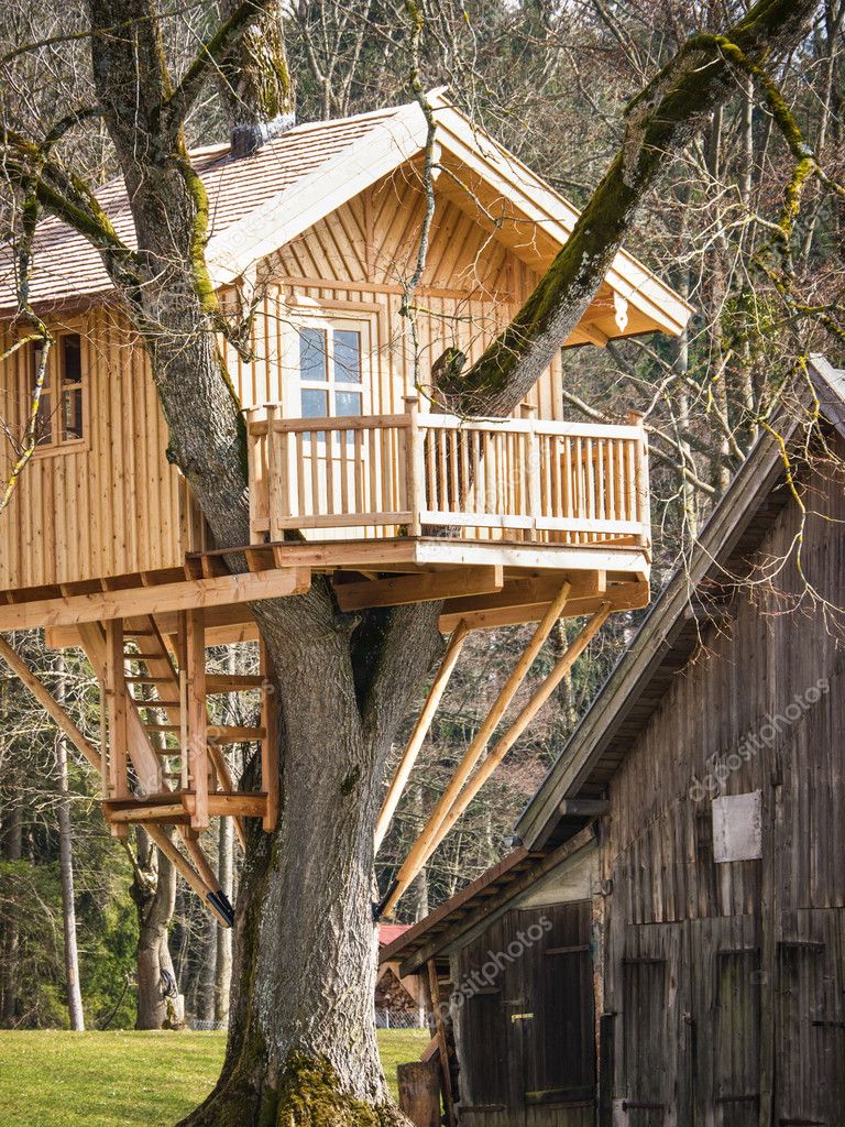 Tree house Stock Photo by ©foottoo 16770723