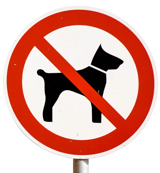 No dogs allowed sign — Stock Photo, Image