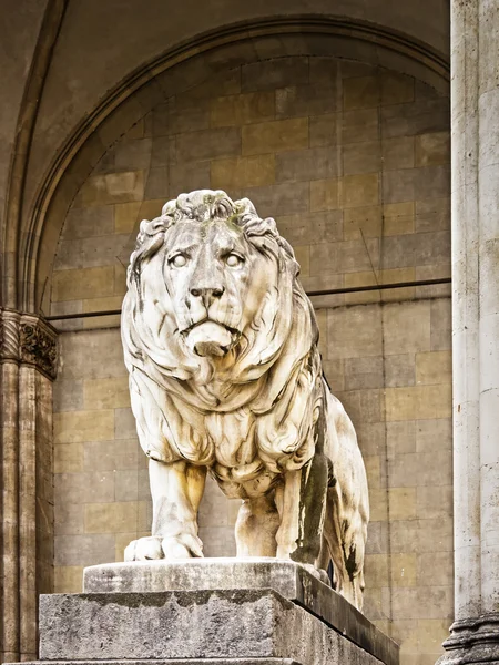 León. — Foto de Stock