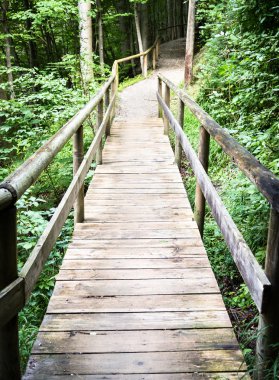 eski ahşap yaya köprüsü