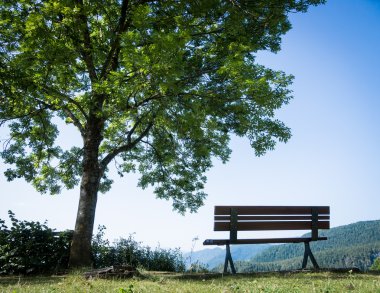 Park Benç