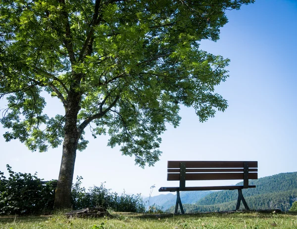 Park bench — Stock Photo, Image