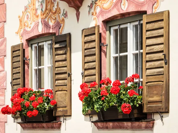 Fenster — Stockfoto