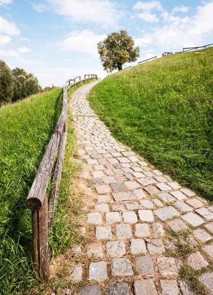 Footpath — Stock Photo, Image