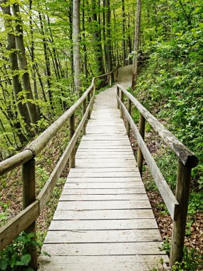 eski ahşap yaya köprüsü