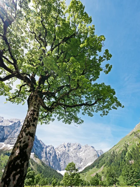 Karwendel — Stock Photo, Image