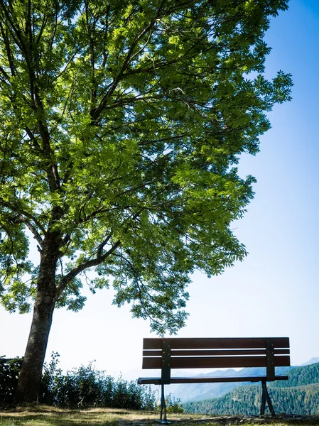 Park Benç — Stok fotoğraf