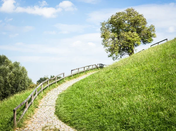 Sentiero pedonale — Foto Stock