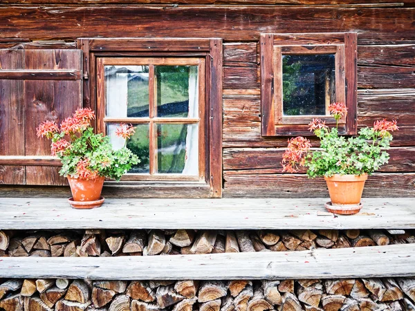 Fenster — Stockfoto