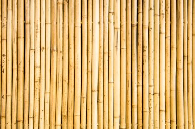 Bambu.