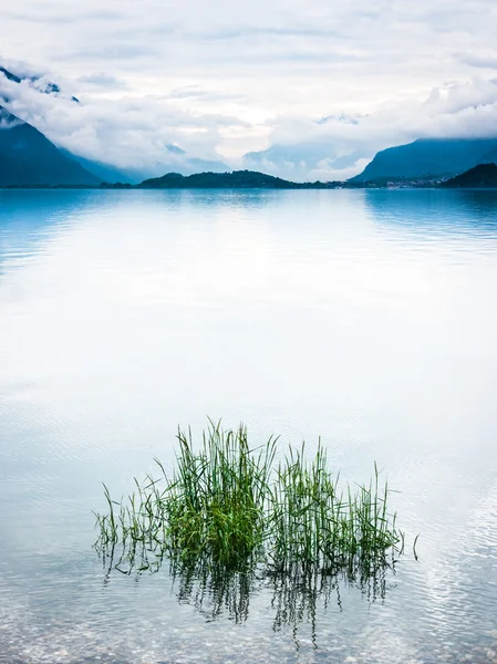 Jezioro — Zdjęcie stockowe