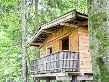 yaban hayatı gözlem noktası