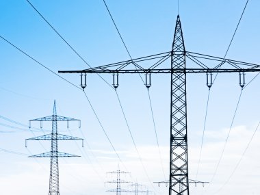 Elektrik direkleri