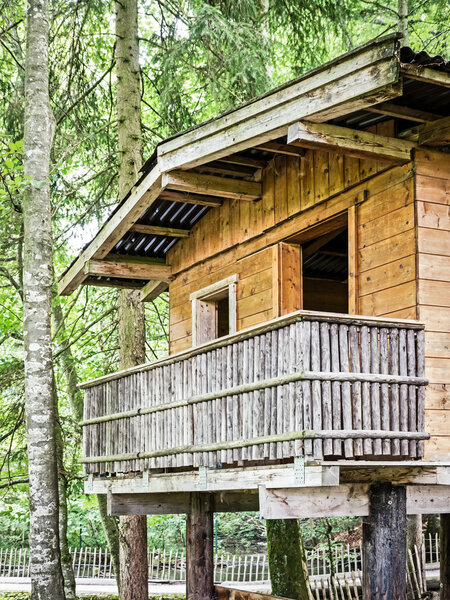 точка наблюдения за дикой природой
