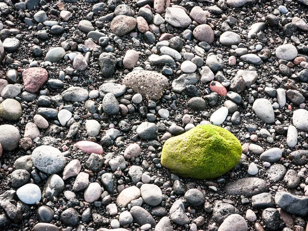 緑色岩 — ストック写真