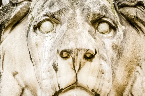 Alte Löwenstatue — Stockfoto