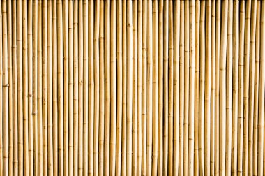 Bambu.