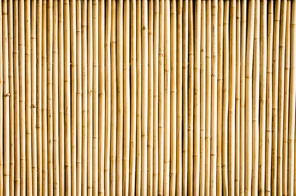 Bambu.