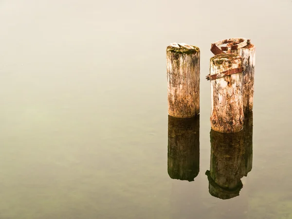 Aan het meer — Stockfoto