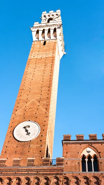 Siena - İtalya — Stok fotoğraf