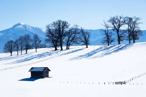 Kış Zamanı — Stok fotoğraf