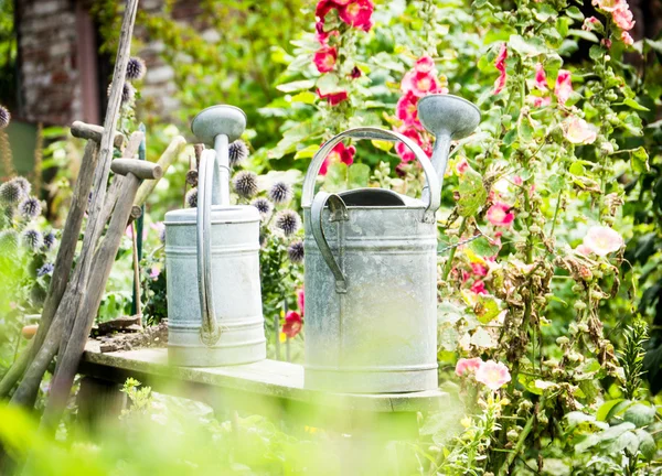 Old watering cans — Stock Photo, Image