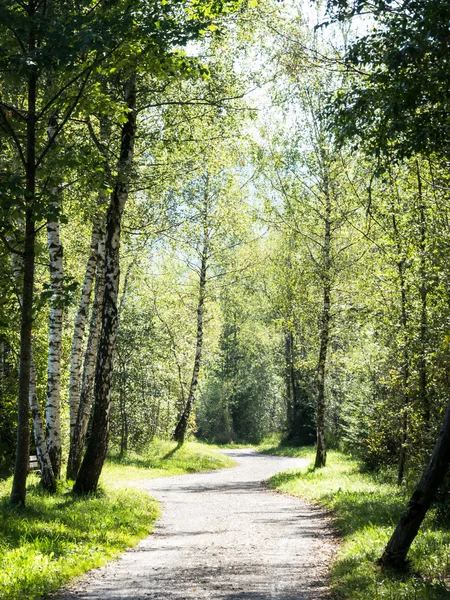 Footpath — Stock Photo, Image