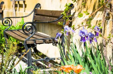 ahşap park bankında