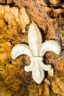 Fleur de lis