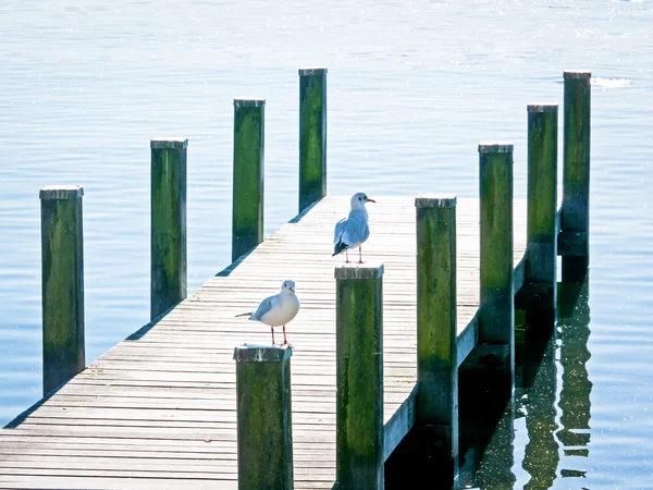 Old wooden jetty — Stock Photo, Image
