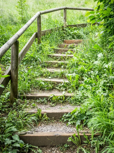 Étapes en bois — Photo