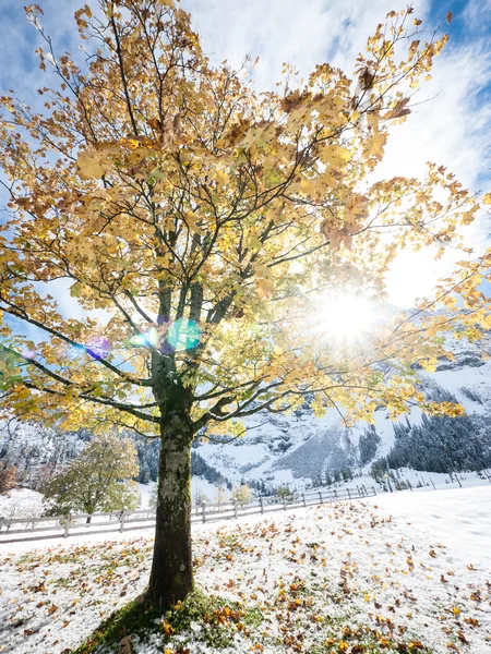 Karwendel'de — Stok fotoğraf