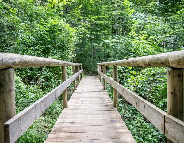 Oude houten voetgangersbrug — Stockfoto