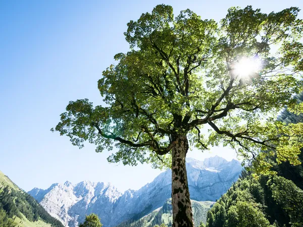 Karwendel. — Foto de Stock