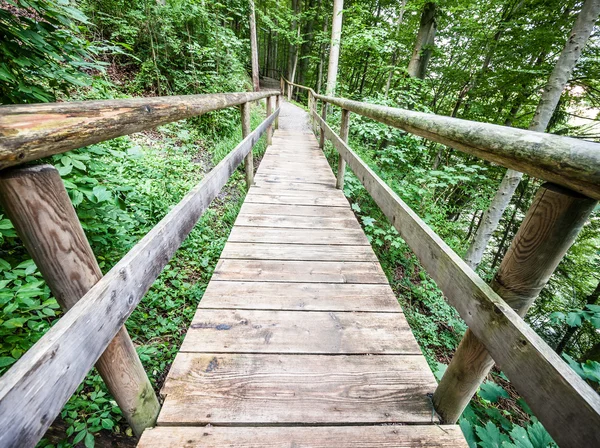 Old wooden footbridge — Stock Photo, Image