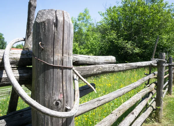 Oude hek — Stockfoto