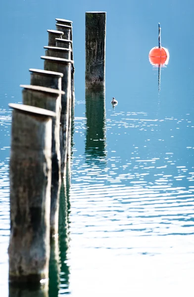 湖で — ストック写真